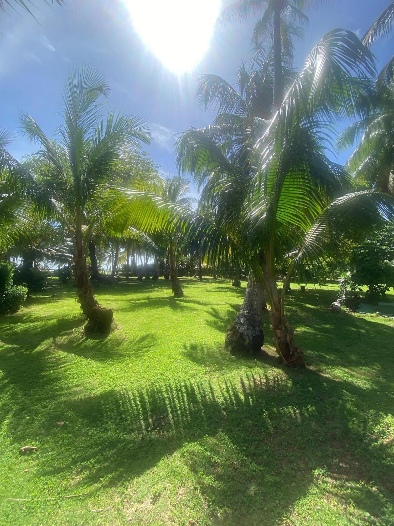 South End Villas - Apartamentos Paradisiaco En El Caribe Colombiano San Andrés 외부 사진